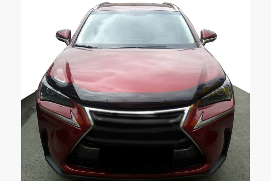 Lexus NX 2014-2021 Motorhaubenschutz 2014+ (SIM) Image