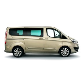 Ford Custom 2013-2022 Tuning