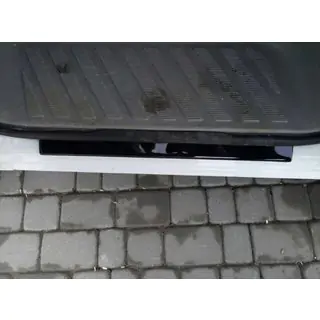 Einstiegsleisten DDU (2 Stk., ABS) Foto 3