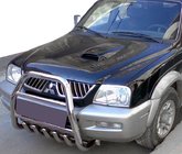 Mitsubishi L200 1996-2006 Frontbügel QT007 (Edelstahl) Foto 1