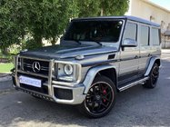 Mercedes G class W463 1990-2018 Frontschutzbügel (AMG) Foto 1