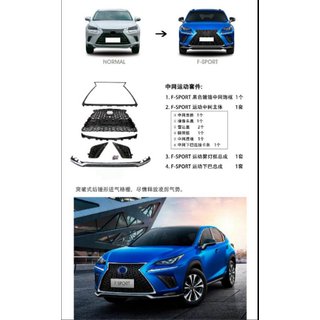 Frontgrill mit Frontspoiler F-Sport (2018+) Foto 1