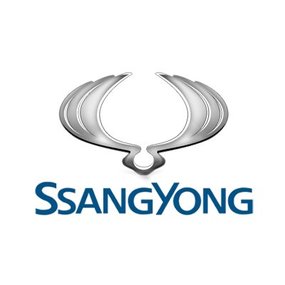 Meric SsangYong