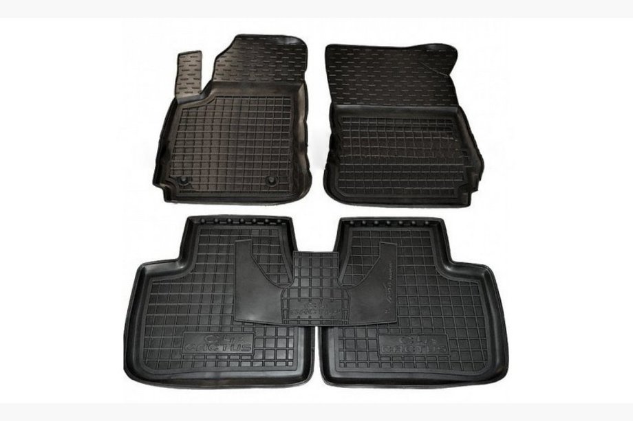 Citroen Cactus 2014-2020 Gummimatten mit Rand (Autogumm) Image