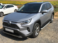 Toyota Rav 4 2019–2025 Seitenschweller Tayga Grey (2 Stk., Aluminium) Foto 1