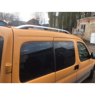 Dachreling Skyport (grau matt) Citroen Berlingo 1996-2008 Foto 2