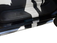 Citroen Berlingo 2008-2018 Einstiegsleisten DDU (4 Stk., ABS, matt) Foto 2