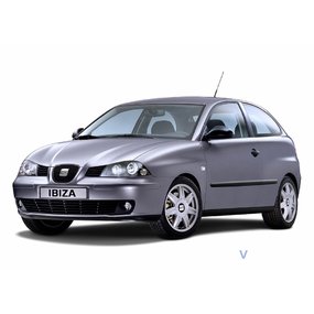 Seat Ibiza 2002-2009 Tuning