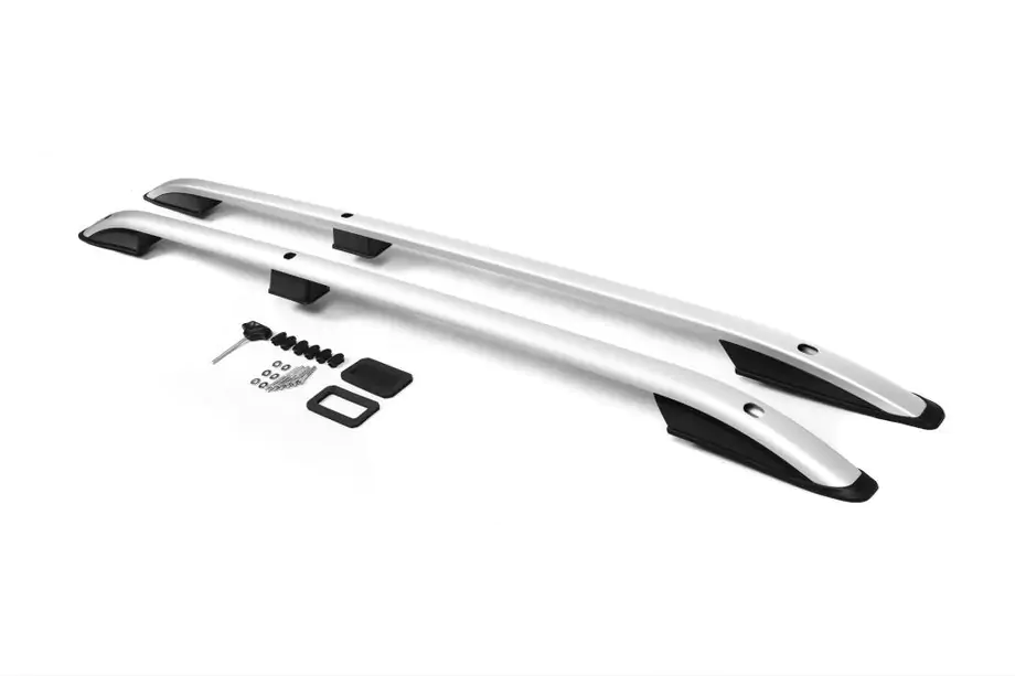 Fiat Doblo I 2005-2010 Dachreling Skyport (silber) Image