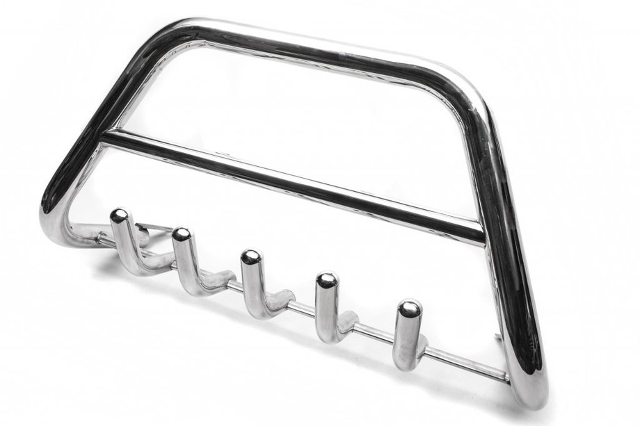Renault Logan MCV 2005-2013 Frontbügel (Edelstahl) Image