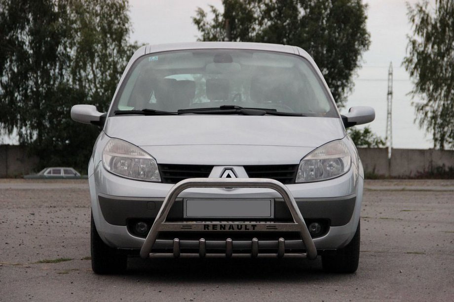 Renault Scenic/Grand 2003-2009 Frontbügel WT004 (Edelstahl) Image