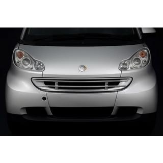 Frontschutzgitter Smart 2007-2014 Foto 1