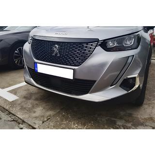 Abdeckung für Nebelscheinwerfer (2 Stk, Edelstahl) Peugeot 2008 2019-