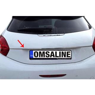 Chromleiste über dem Kennzeichen OmsaLine (Edelstahl) Foto 1