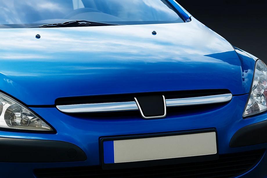 Peugeot 307 2001-2008 Chrom Kühlergrill Blenden (2001-2005, 2 Stk, Edelstahl) Image