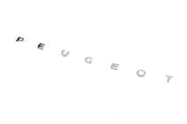 Peugeot Partner/Rifter 2019- Schriftzug Peugeot (630mm x 25mm) Foto 2