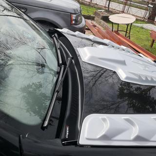 Abdeckung für Windlauf (ABS) Renault Duster 2008–2017 Foto 1