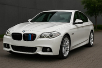 BMW 5 Series F10/F11 2010–2016 Einsätze für Kühlergrill 2010-2013 (3 Stk) Foto 1