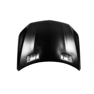 Motorhaube (für GLS, Taiwan, Aluminium) Foto 2