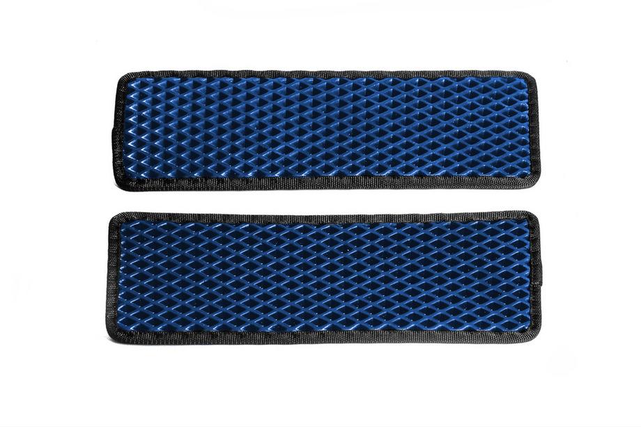 Renault Master 2011-2023 EVA Einstiegsleisten-Matten (2 Stk, Blau) Image