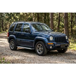 Trittbretter Shining V1 (2 Stk., Aluminium) Jeep Cherokee/Liberty 2002-2007 Foto 1