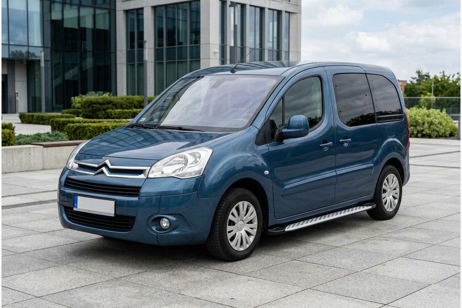Citroen Berlingo 2008-2018 Trittbretter Shining V1 (2 Stk., Aluminium) Image