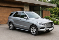 Mercedes GLE/ML class W166 2011-2018 Trittbretter Shining V1 (2 Stk., Aluminium) Foto 1