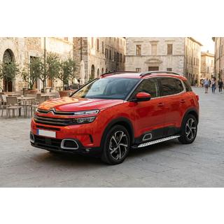 Trittbretter Shining V1 (2 Stk., Aluminium) Citroen C5 Aircross 2017-2025 Foto 1