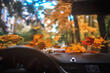 So bereiten Sie Ihr Auto auf den Herbst vor Foto 1