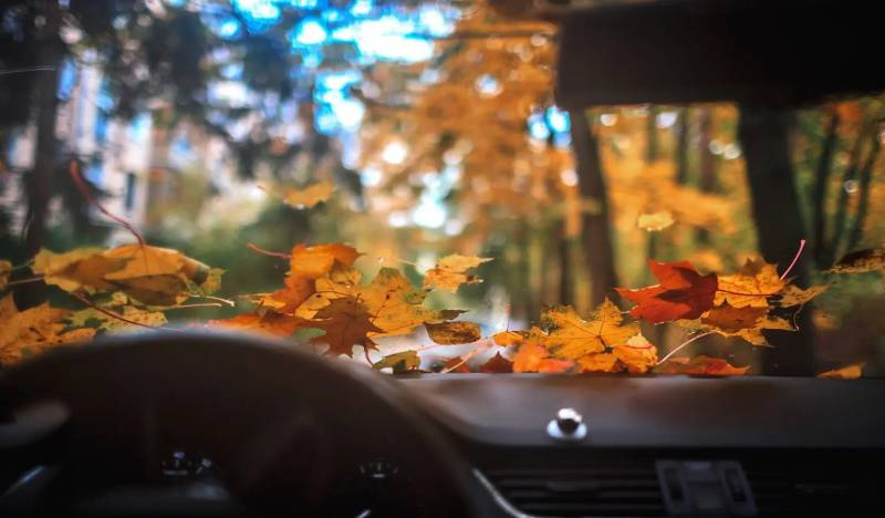 So bereiten Sie Ihr Auto auf den Herbst vor