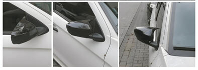 Citroen Cactus 2014-2020 Spiegelabdeckungen BMW-Style (2014-2017, 2 Stk) Foto 2
