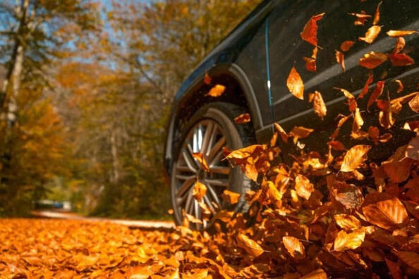 Fünf Fehler, die im Herbst zu einem Unfall im Straßenverkehr führen können