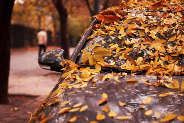 Wie pflegt man ein Auto im Herbst?