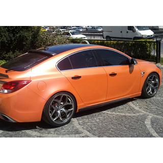 Seitenschweller DPT V-2 (Zum Lackieren) Opel Insignia 2008-2017 Foto 1