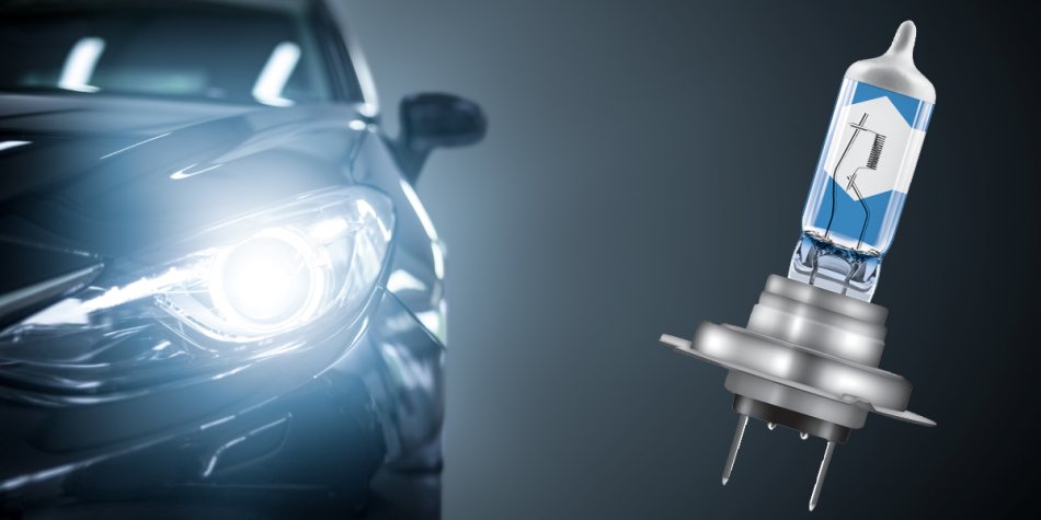 Welche Glühbirnen Sie für ein Auto wählen sollten: Wir verstehen die Vielfalt