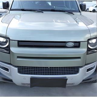 Grille Einsatz