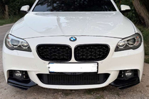 BMW 5 Series F10/F11 2010–2016 Nieren Diamond Black (Schwarz Glanz) Foto 2