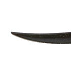 BMW 2 Series F22/F23 2014-2021 Spoiler M2-Style (für F22, Carbon) Foto 7
