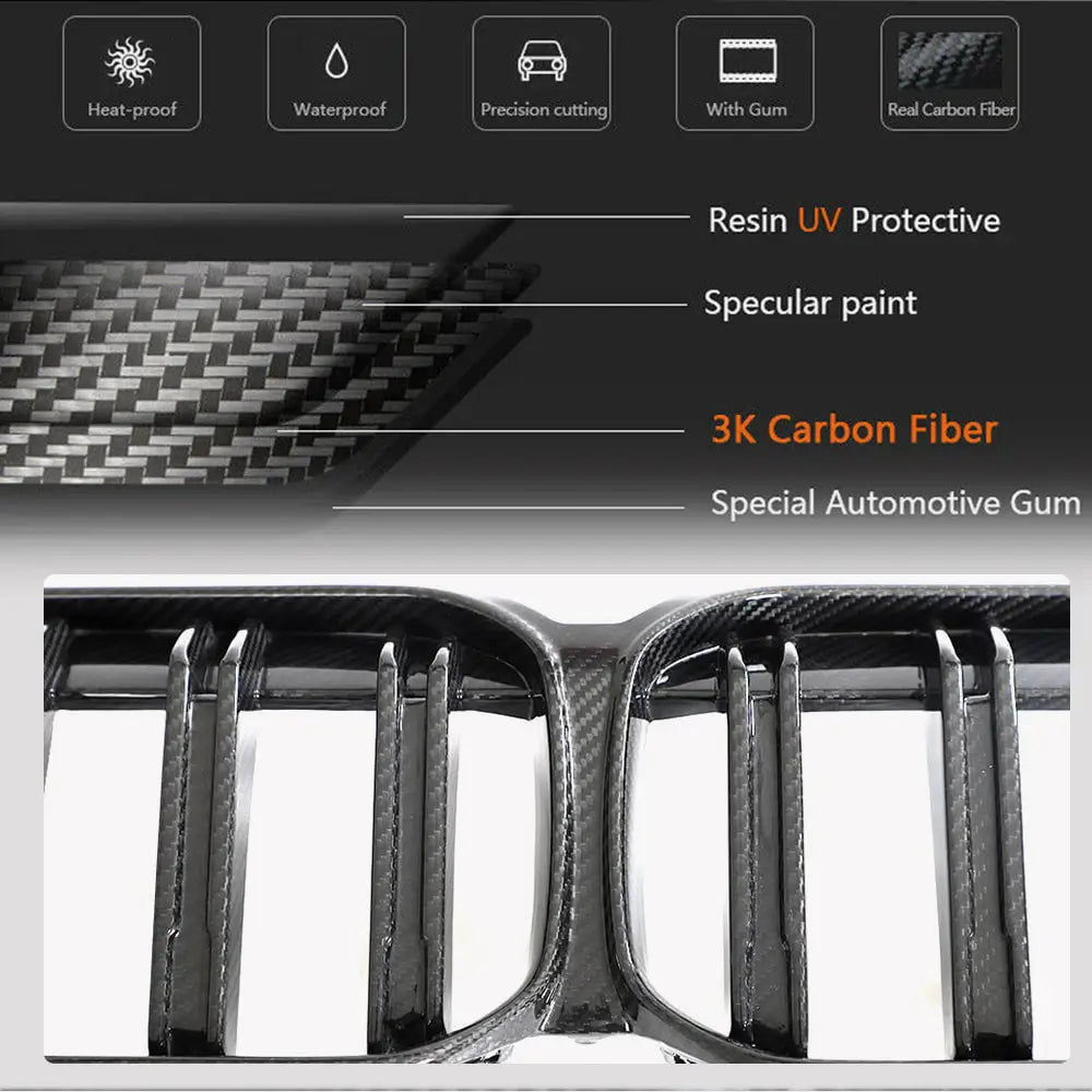 Nieren Dry Carbon Foto 3