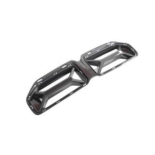 Nieren (für G87, Carbon) Foto 4