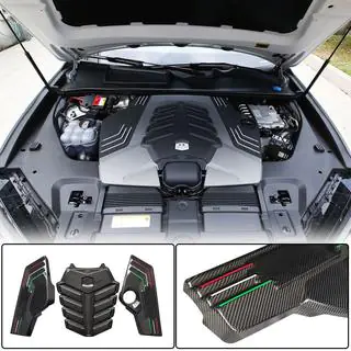 Motorabdeckung (Trockencarbon) Foto 1