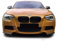 BMW 1 Series F20/F21 2011-2019 Nieren M-Look (2011-2014, Schwarz Glanz) Foto 3