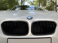 BMW 1 Series F20/F21 2011-2019 Nieren M-Look (2011-2014, Schwarz Glanz mit Chrom Rahmen) Foto 1