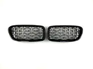 BMW 3 Series F30/F31 2012-2019 Nieren Diamond Silver Foto 2