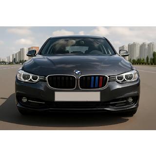 Nieren M-Look (für F34, M-Color mit Chromrahmen) BMW 3 Series F34 2013–2020 Foto 1