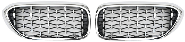 BMW 5er G30/G31 2017–2023 Diamond Silver V1 Nieren (2017-2020, Chromrahmen) Foto 2