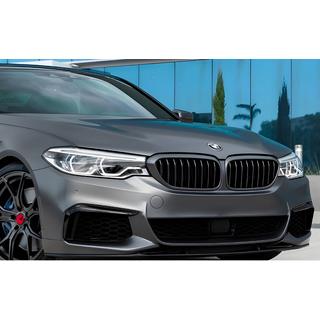 Nieren 1 Bar (2017-2020, Schwarz Matt) BMW 5er G30/G31 2017–2023 Foto 1