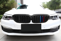 BMW 5er G30/G31 2017–2023 Nieren 1 Bar (2017-2020, M-Color) Foto 3