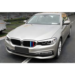Nieren 1 Bar (2017-2020, M-Color mit Chromrahmen) BMW 5er G30/G31 2017–2023 Foto 1