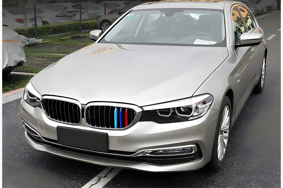 BMW 5er G30/G31 2017–2023 Nieren 1 Bar (2017-2020, M-Color mit Chromrahmen) Image